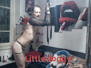 Littledoggy