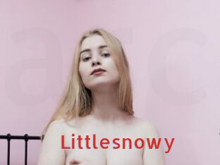 Littlesnowy