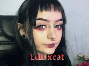 Luluxcat