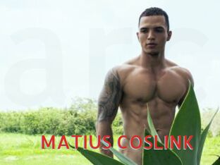 MATIUS_COSLINK