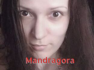 Mandragora