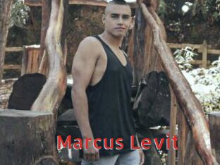 Marcus_Levit