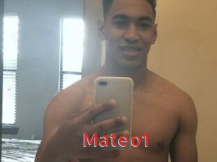 Mateo1