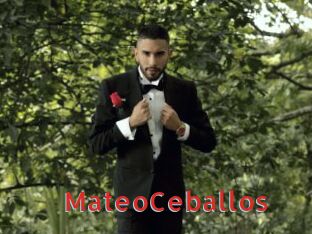 MateoCeballos