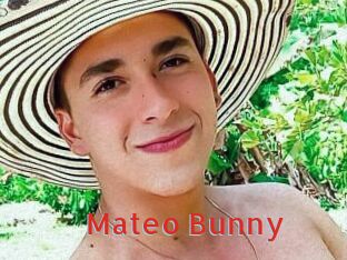Mateo_Bunny