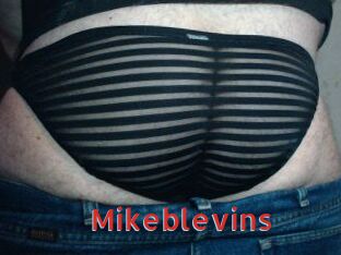 Mikeblevins