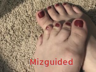 Mizguided