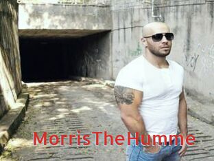 MorrisTheHumme