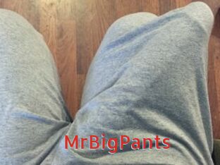 MrBigPants