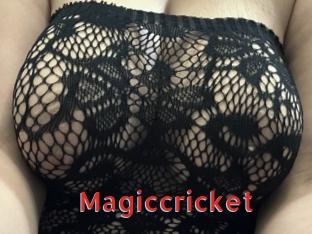 Magiccricket