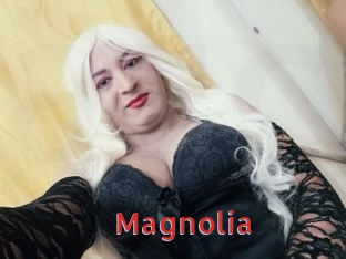 Magnolia