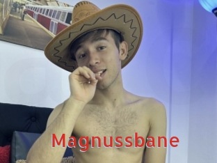 Magnussbane