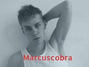 Marcuscobra