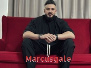 Marcusgale