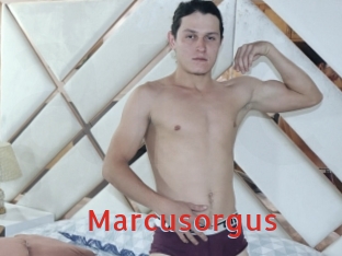 Marcusorgus