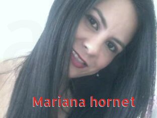 Mariana_hornet