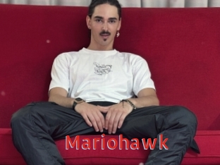Mariohawk