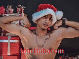 Martinharem