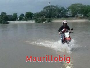 Maurillobig