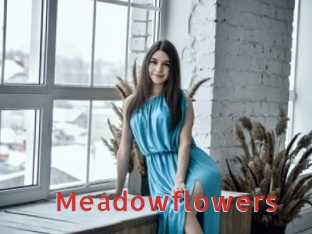 Meadowflowers