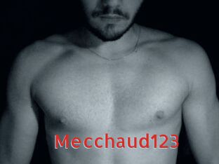 Mecchaud123