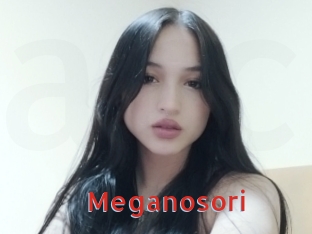 Meganosori