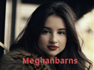 Meghanbarns