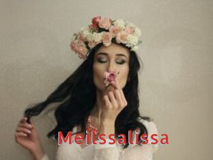 Meilssalissa