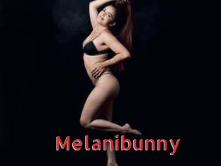 Melanibunny