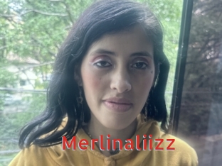 Merlinaliizz