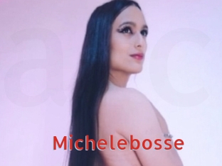 Michelebosse