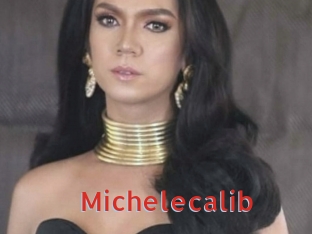 Michelecalib