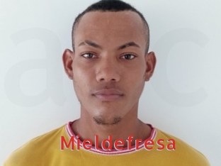 Mieldefresa