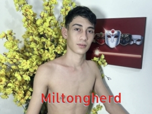Miltongherd