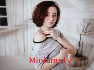 Miniamely
