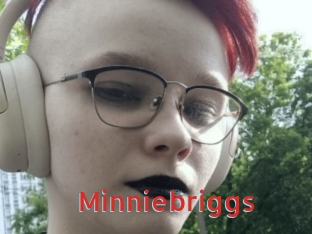 Minniebriggs