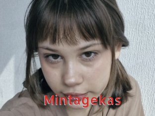 Mintagekas