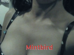 Mintbird
