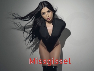 Missgissel