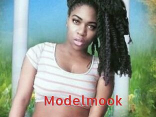 Modelmook