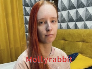 Mollyrabbit