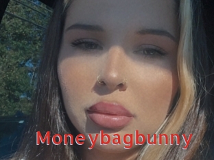 Moneybagbunny