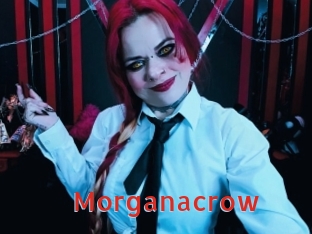 Morganacrow