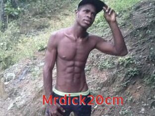 Mrdick20cm