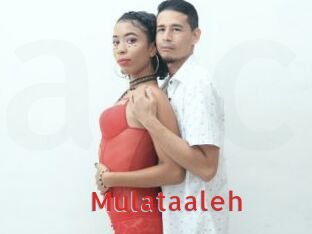 Mulataaleh