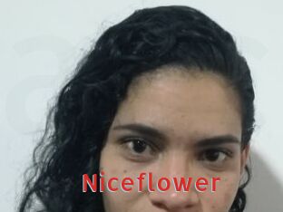 Nice_flower