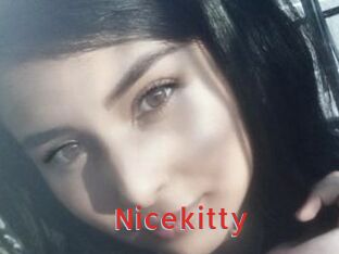 Nicekitty