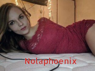 Nolaphoenix