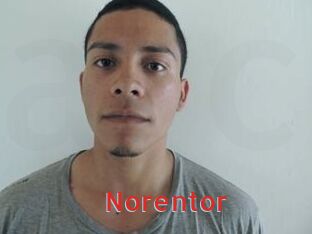 Noren_tor