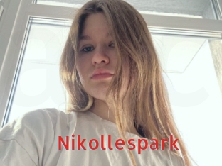 Nikollespark